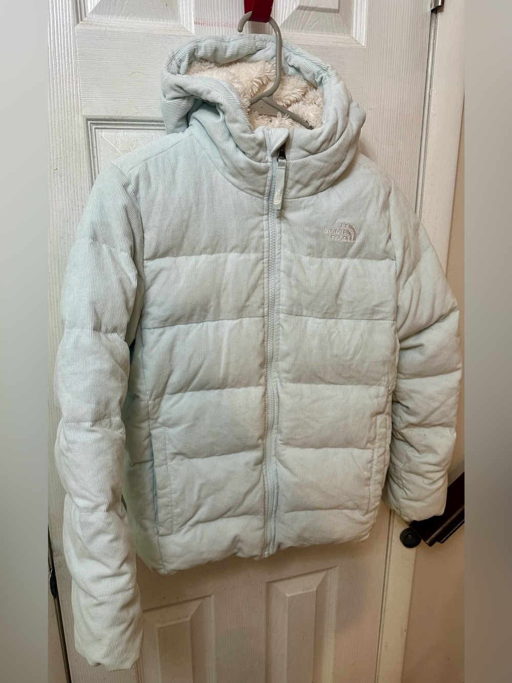 The North Face Moondoggy Down Hoodie (550-fill goose down insulation)